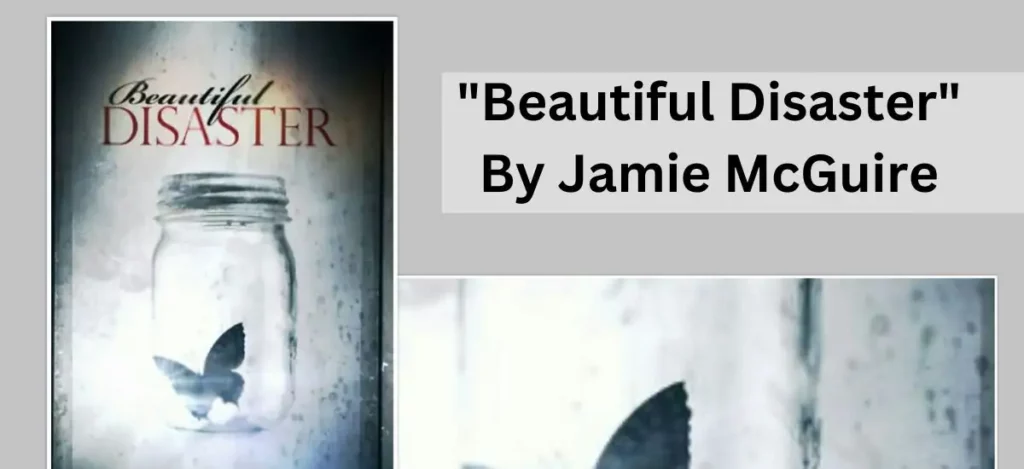 "Beautiful Disaster" by Jamie McGuire
